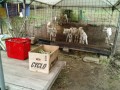 IMG_20250613_083735