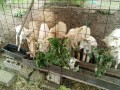 IMG_20250613_083754