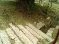 IMG_20250613_083835