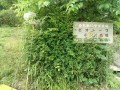 IMG_20250614_110556