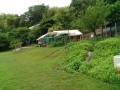 IMG_20250614_110627
