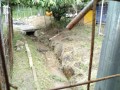 IMG_20250614_111344