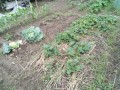 IMG_20250615_102757
