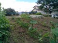 IMG_20250615_110108
