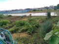 IMG_20250615_110113