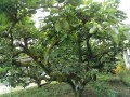 IMG_20250615_110125