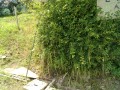 IMG_20250615_120835