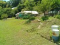 IMG_20250615_120909