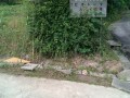 IMG_20250616_092100
