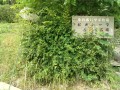 IMG_20250616_092104