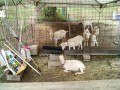 IMG_20250616_092554