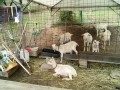 IMG_20250616_092612