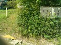 IMG_20250617_085540