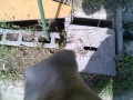 IMG_20250617_085547