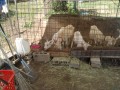 IMG_20250617_095107