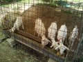 IMG_20250617_095115