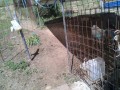 IMG_20250617_095129
