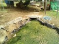 IMG_20250618_094635