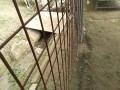 IMG_20250618_094703