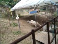 IMG_20250618_094706