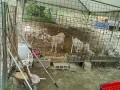 IMG_20250618_094715