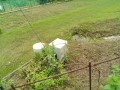IMG_20250618_112917