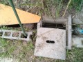 IMG_20250618_113032