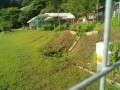 IMG_20250619_072923