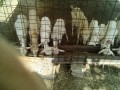 IMG_20250619_073214