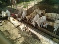 IMG_20250619_073222