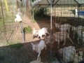 IMG_20250619_073233