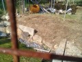 IMG_20250619_073249
