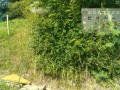 IMG_20250620_090046
