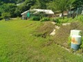 IMG_20250620_090126