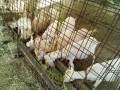 IMG_20250620_090857