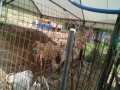 IMG_20250620_090920