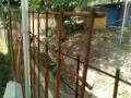 IMG_20250620_090925