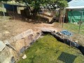 IMG_20250620_091002