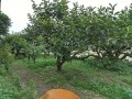 IMG_20250620_180610