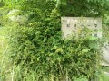 IMG_20250621_094705