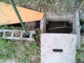 IMG_20250621_094709