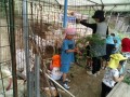 IMG_20250621_095129