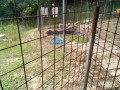 IMG_20250621_095305
