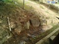IMG_20250621_095318