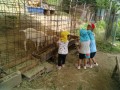 IMG_20250621_095833