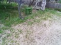 IMG_20250621_185302