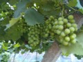 IMG_20250621_185314