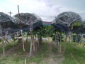 IMG_20250621_185326