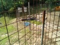 IMG_20250622_092603