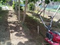IMG_20250622_104449